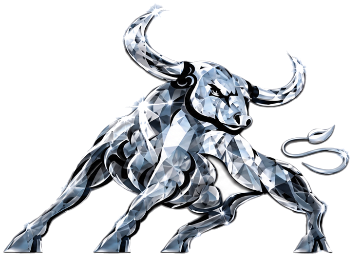 TORO Stier